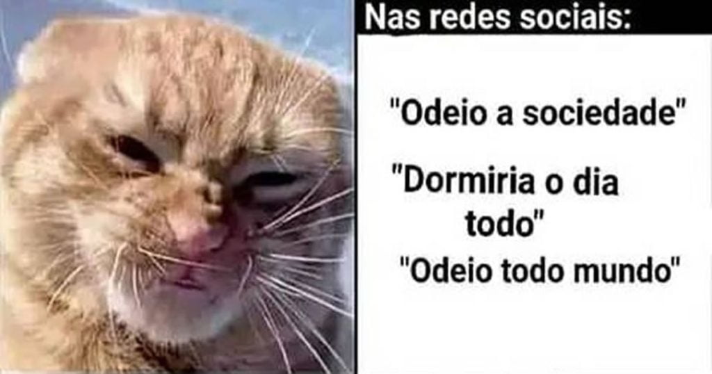 Diferença entre Rede sociais e no currículo