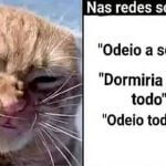 Diferença entre Rede sociais e no currículo