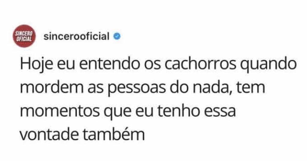 Entendo o motivo que os cachorros mordem as pessoas