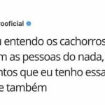 Entendo o motivo que os cachorros mordem as pessoas