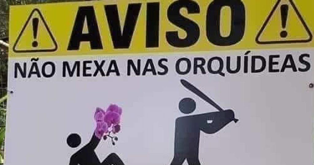 Aquele aviso: Não mexa nas orquídeas