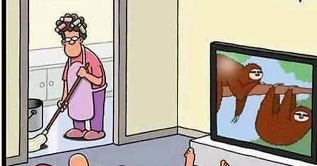 Esse bicho preguiça é estranho