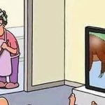 Esse bicho preguiça é estranho