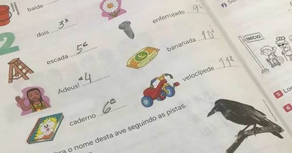 Pérolas da educação brasileira