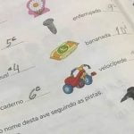 Pérolas da educação brasileira