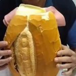 Você come quantos pães de manhã?