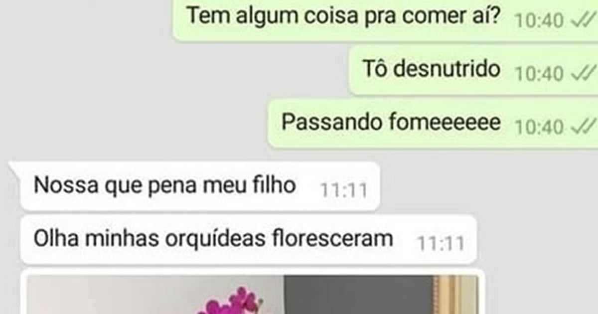 Quando O Filho Sai De Casa E Percebe Que A Comida Não Aparece Por Si Só ...