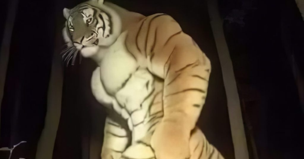 Dono do jogo do Tigre