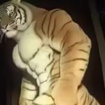 Dono do jogo do Tigre