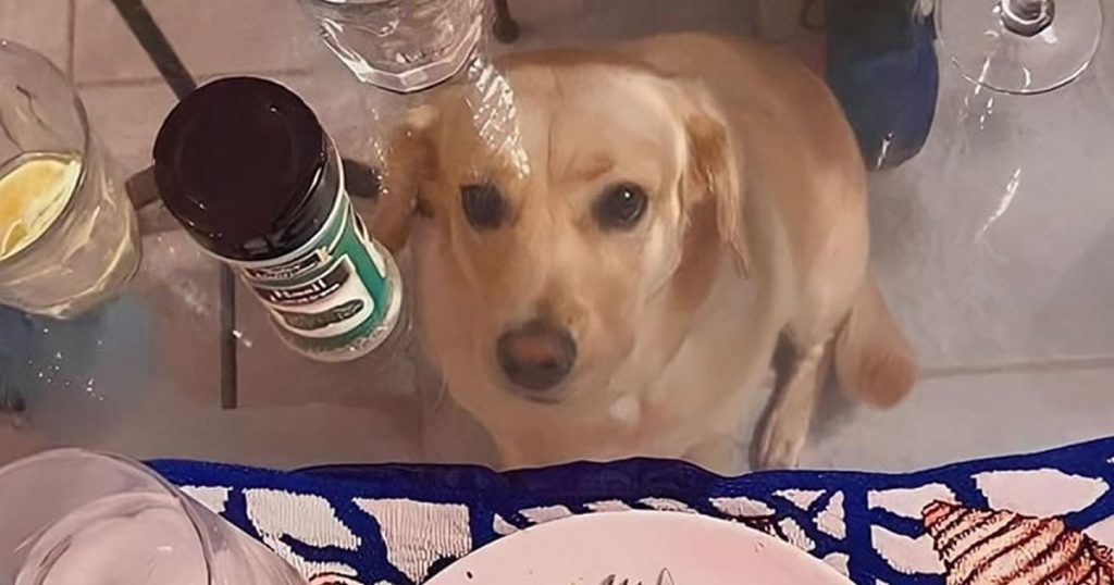 Motivos para não comprar uma mesa de vidro