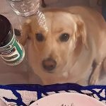 Motivos para não comprar uma mesa de vidro