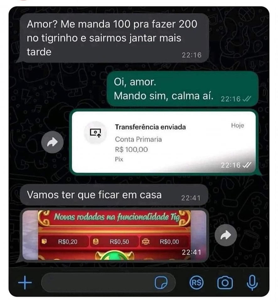 O tigrinho está acabado com a vida de todo mundo O tigrinho está acabado com a vida de todo mundo