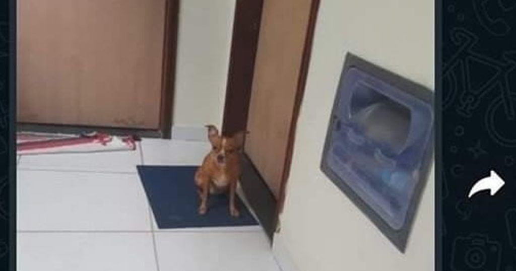 Quem não tem amigo que confunde onde mora Quem não tem amigo que confunde onde mora