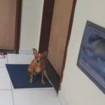 Quem não tem amigo que confunde onde mora