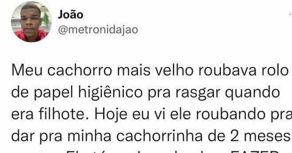 É assim que funciona a vida: os adultos ensinam as crianças É assim que funciona a vida: os adultos ensinam as crianças