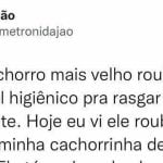 É assim que funciona a vida: os adultos ensinam as crianças