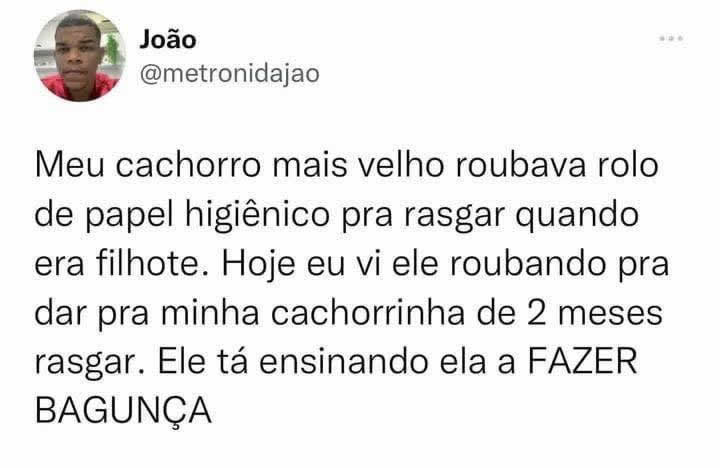 É assim que funciona a vida: os adultos ensinam as crianças