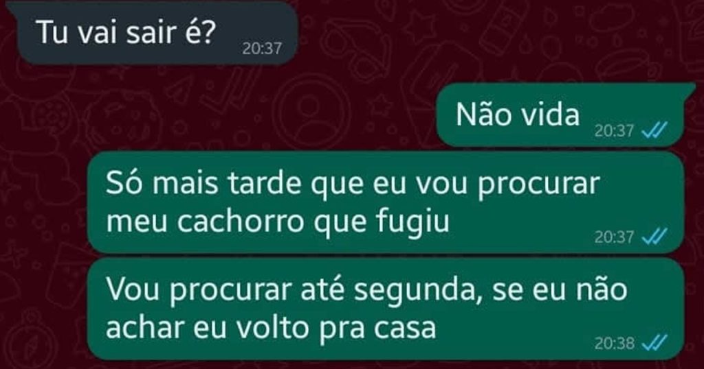 Justo hoje ele fugiu Justo hoje ele fugiu