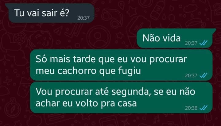 Justo hoje ele fugiu Justo hoje ele fugiu