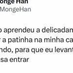 A verdadeira intenção do gato