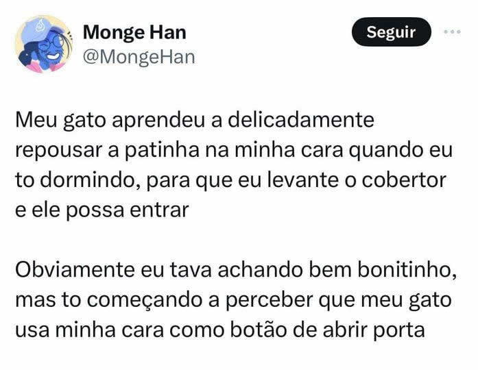 A verdadeira intenção do gato A verdadeira intenção do gato