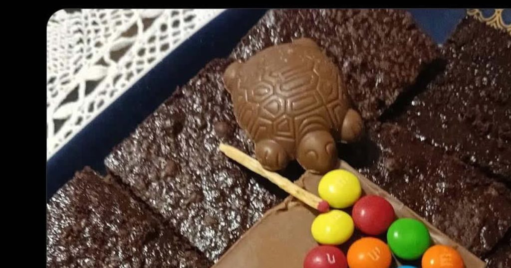 Tortuguitas jogando sinuca