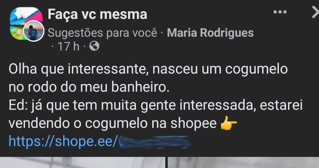 Um verdadeiro empreendedor da Shopee