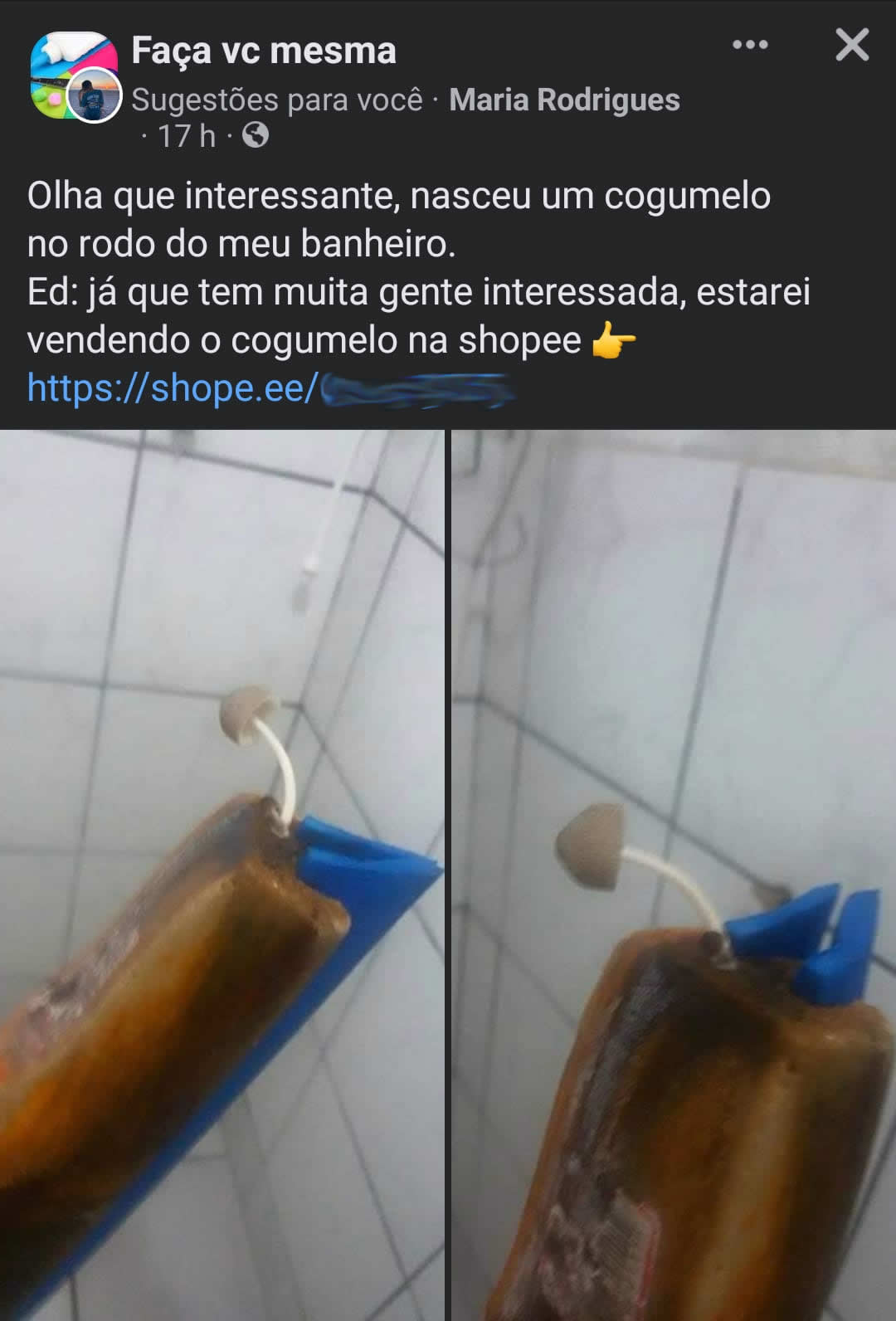 Um verdadeiro empreendedor da Shopee Um verdadeiro empreendedor da Shopee