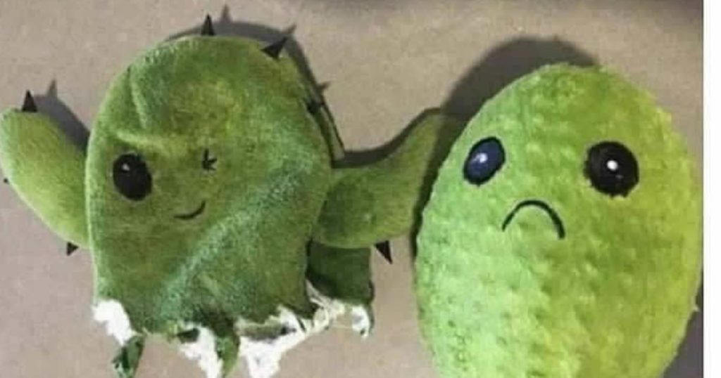 Uma empresa que entende os cachorros