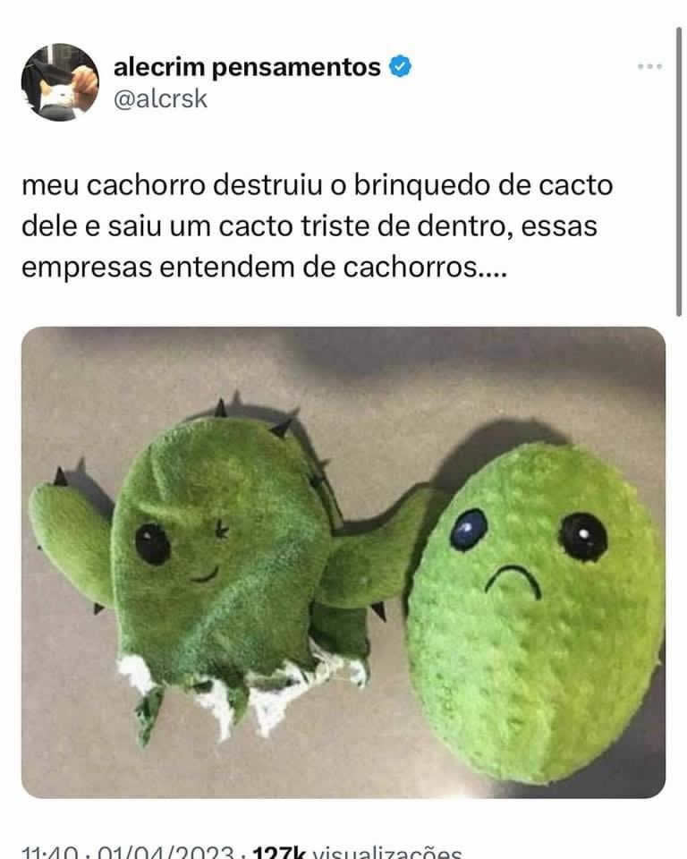 Uma empresa que entende os cachorros Uma empresa que entende os cachorros