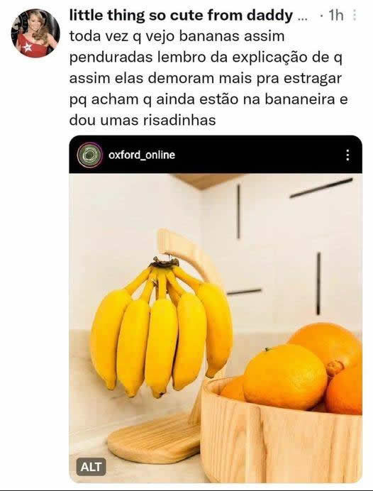 Uma explicação para o porquê das bananas demorarem para estragar Uma explicação para o porquê das bananas demorarem para estragar