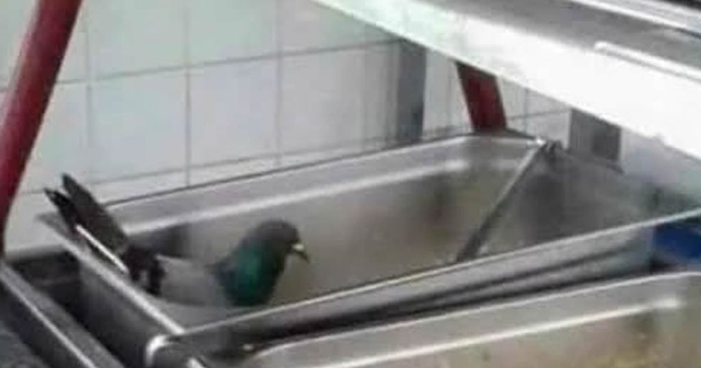 Enquanto isso no restaurante