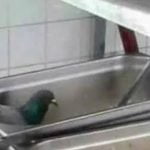 Enquanto isso no restaurante