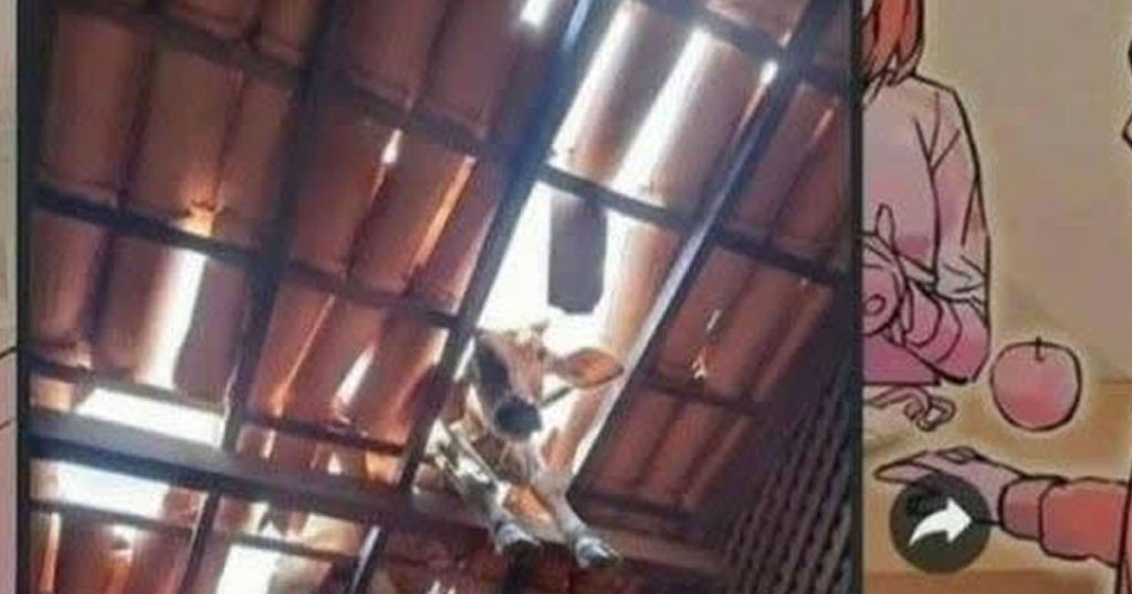 Isso é muito ruim quando acontece Isso é muito ruim quando acontece