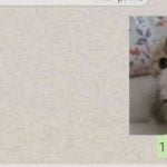 Quando a pessoa quer conversar sério com você