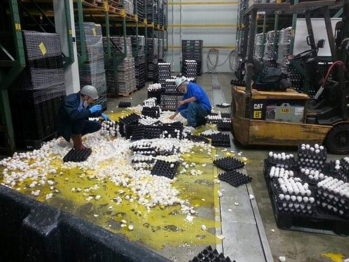 Alguém no mundo está tendo um dia pior do que você