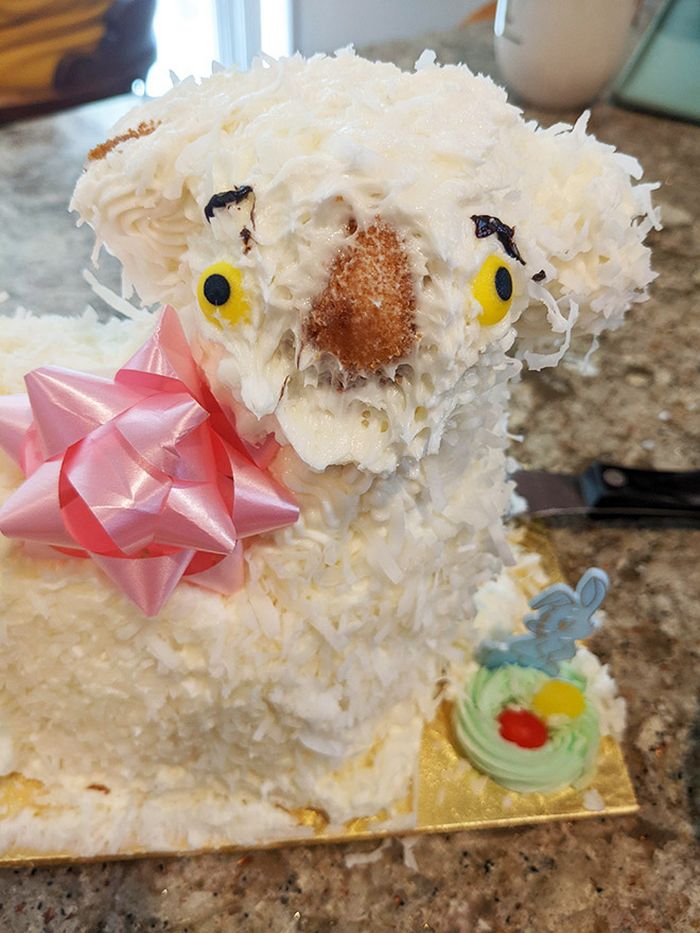 23 bolos hilariantemente desastrosos: As mais engraçadas falhas na confeitaria 23 bolos hilariantemente desastrosos: As mais engraçadas falhas na confeitaria