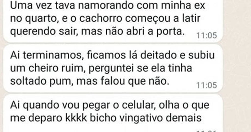 Cachorro um bicho vingativo