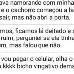 Cachorro um bicho vingativo