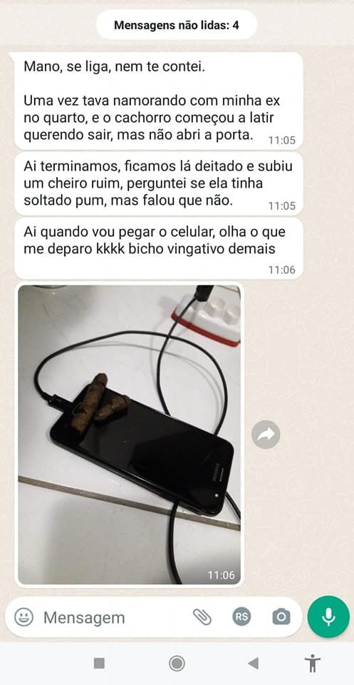 Cachorro um bicho vingativo