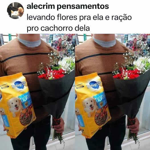 Como conquistar uma mulher solteira hoje em dia Como conquistar uma mulher solteira hoje em dia