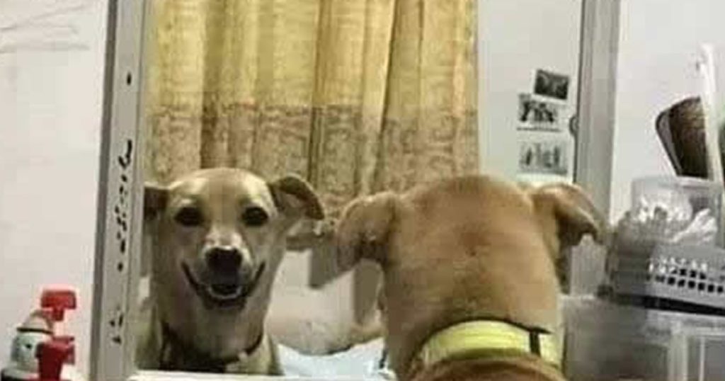 Quando você vai no banheiro em uma festa Quando você vai no banheiro em uma festa