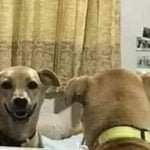 Quando você vai no banheiro em uma festa