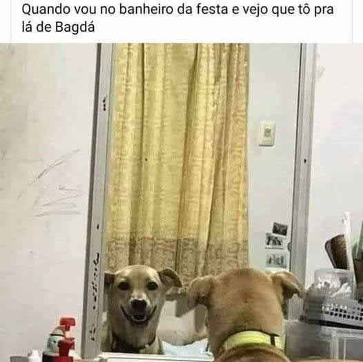 Quando você vai no banheiro em uma festa Quando você vai no banheiro em uma festa