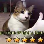 Brasileiro avaliado produto