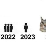 Ciclo de amizade ao longo dos anos