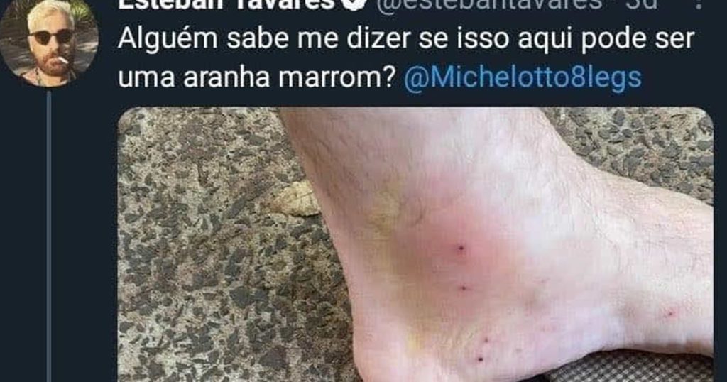 Isso pode ser uma aranha marrom? Isso pode ser uma aranha marrom?