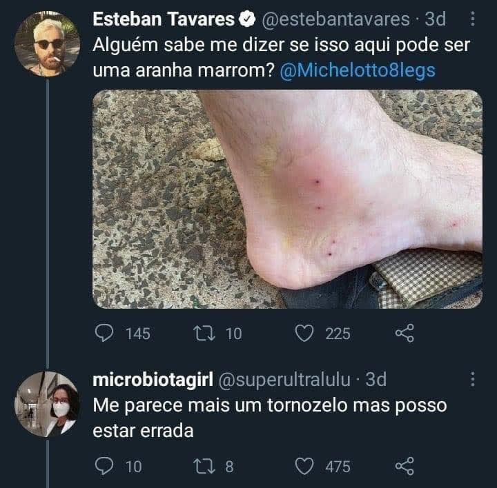 Isso pode ser uma aranha marrom?