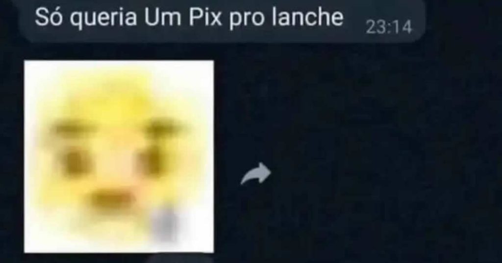 Quando a gata perde um pix para o lanche