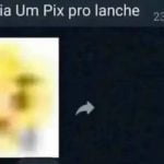 Quando a gata perde um pix para o lanche